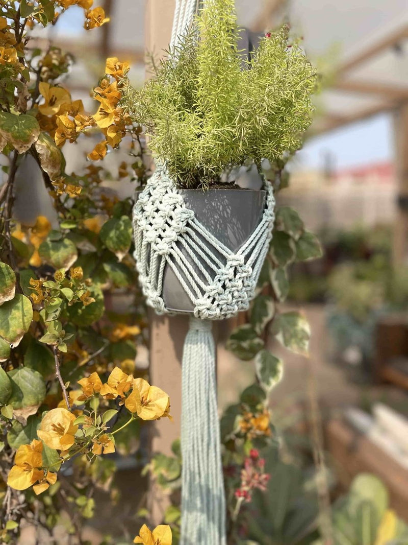 Buy Macrame Plant Hanger Diamond Mesh | Shop Verified Sustainable Products on Brown Living