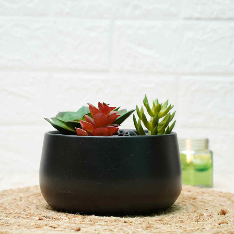 Buy Metal Planters For Living Room | Black | Shop Verified Sustainable Products on Brown Living