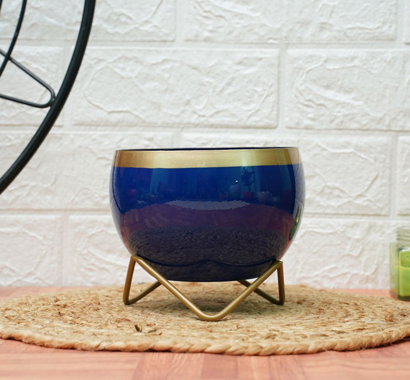 Buy Metal Planters For Living Room | Blue Golden | Shop Verified Sustainable Products on Brown Living
