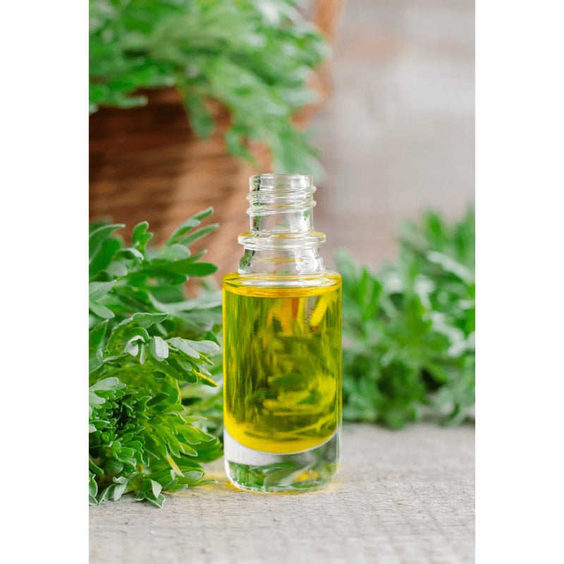 Buy Mugwort Nourishing Cleansing Oil- 100ml | Shop Verified Sustainable Face Oil on Brown Living™