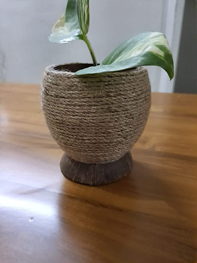 Multipurpose holder made of coconut shell woven with Jute - Spoon holder | Planter | Penholder | Verified Sustainable by Brown Living™