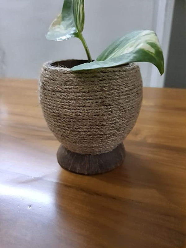 Buy Multipurpose holder made of coconut shell woven with Jute- Spoon holder | Planter | Penholder | Shop Verified Sustainable Desk Accessories on Brown Living™