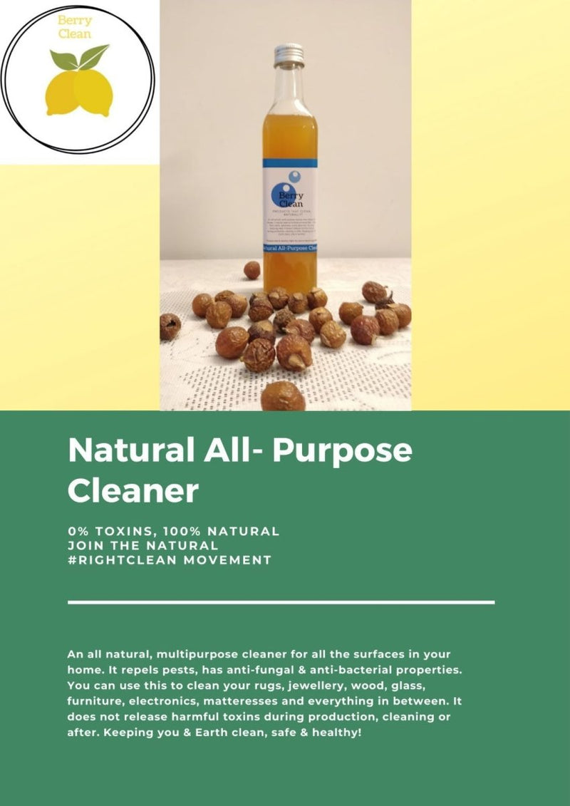 Buy Natural All - Purpose Cleaner | Bioenzyme & Soapnut Extract | Shop Verified Sustainable Cleaning Supplies on Brown Living™