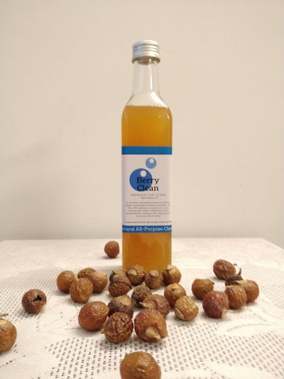 Natural All - Purpose Cleaner | Bioenzyme & Soapnut Extract – Cleaning Products on Brown Living™. SKU: 162 - 17910 - BCSAL0500. Img 1.