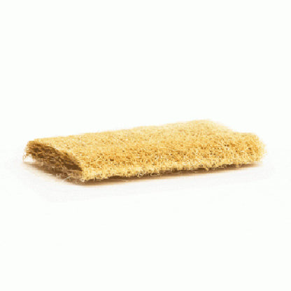 Natural Body & Kitchen Loofah Scrubber - Pack of 2 | Verified Sustainable by Brown Living™