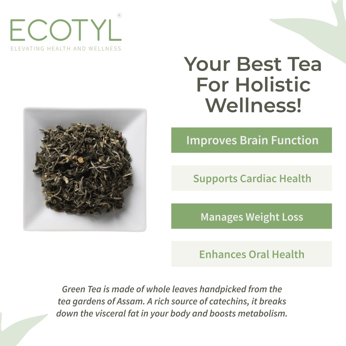 Natural Green Tea Leaves | Handpicked | 180g | Verified Sustainable by Brown Living™