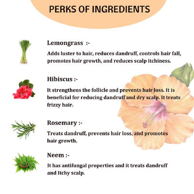 Natural Hair Tonic | Nourish, Revitalize, and Rejuvenate – Hair Conditioner on Brown Living™. SKU: HAIE16. Img 3.