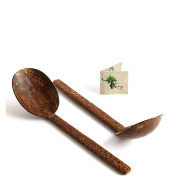 Natural Handmade Coconut Shell Serving Spoon(Set of 2) – Cookware on Brown Living™. SKU: 173 - 05702 - pala - natural - handmade - coconut - shell - serving - s. Img 1.