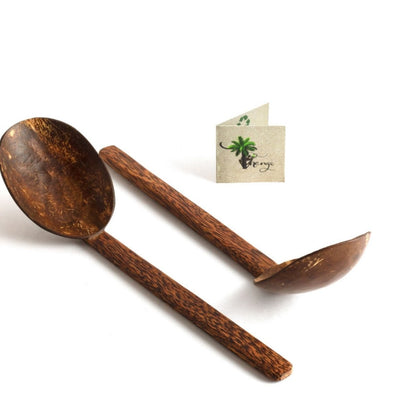 Natural Handmade Coconut Shell Serving Spoon(Set of 2) | Verified Sustainable by Brown Living™