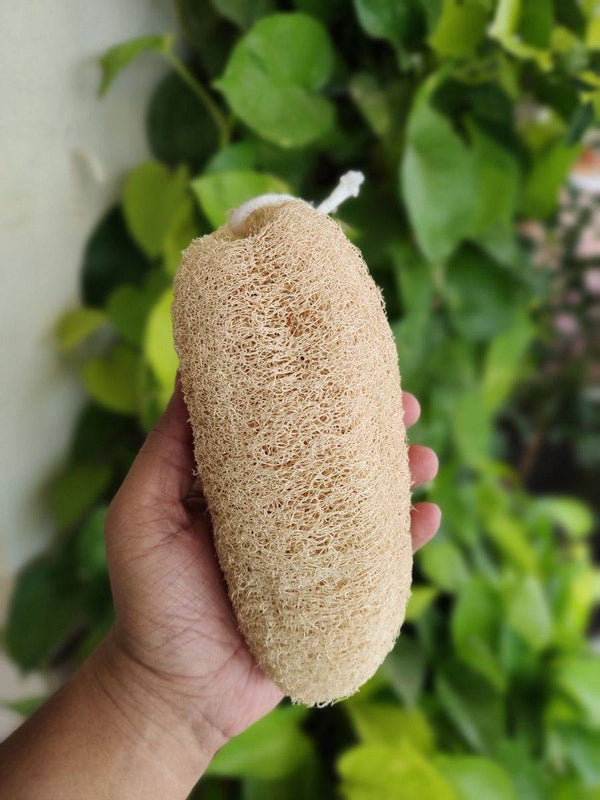 Buy Natural Loofah | Body Scrubber I Pack of 2 | Shop Verified Sustainable Bath Accessories on Brown Living™