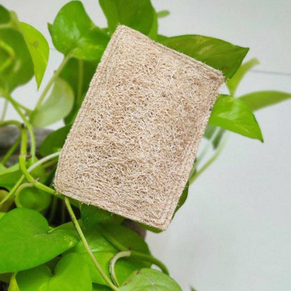 Natural Loofah Dish Scrub (Plant based Utensil Scrub) | Verified Sustainable by Brown Living™