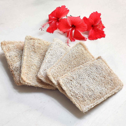 Natural Loofah Dish Scrub (Plant based Utensil Scrub) | Verified Sustainable by Brown Living™