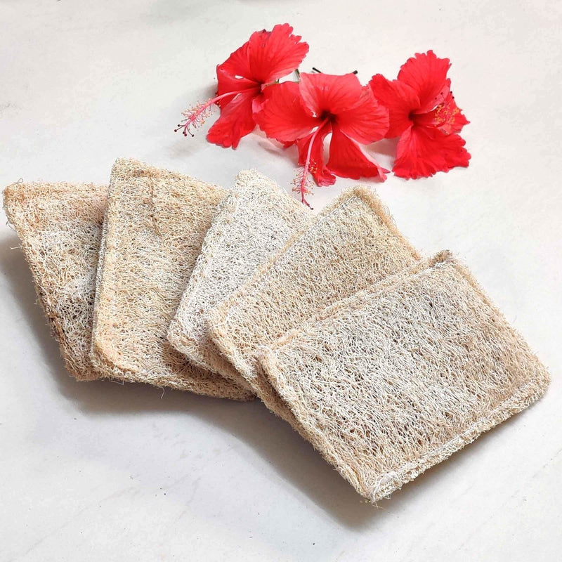 Buy Natural Loofah Dish Scrub (Plant based Utensil Scrub) | Shop Verified Sustainable Cleaning Supplies on Brown Living™