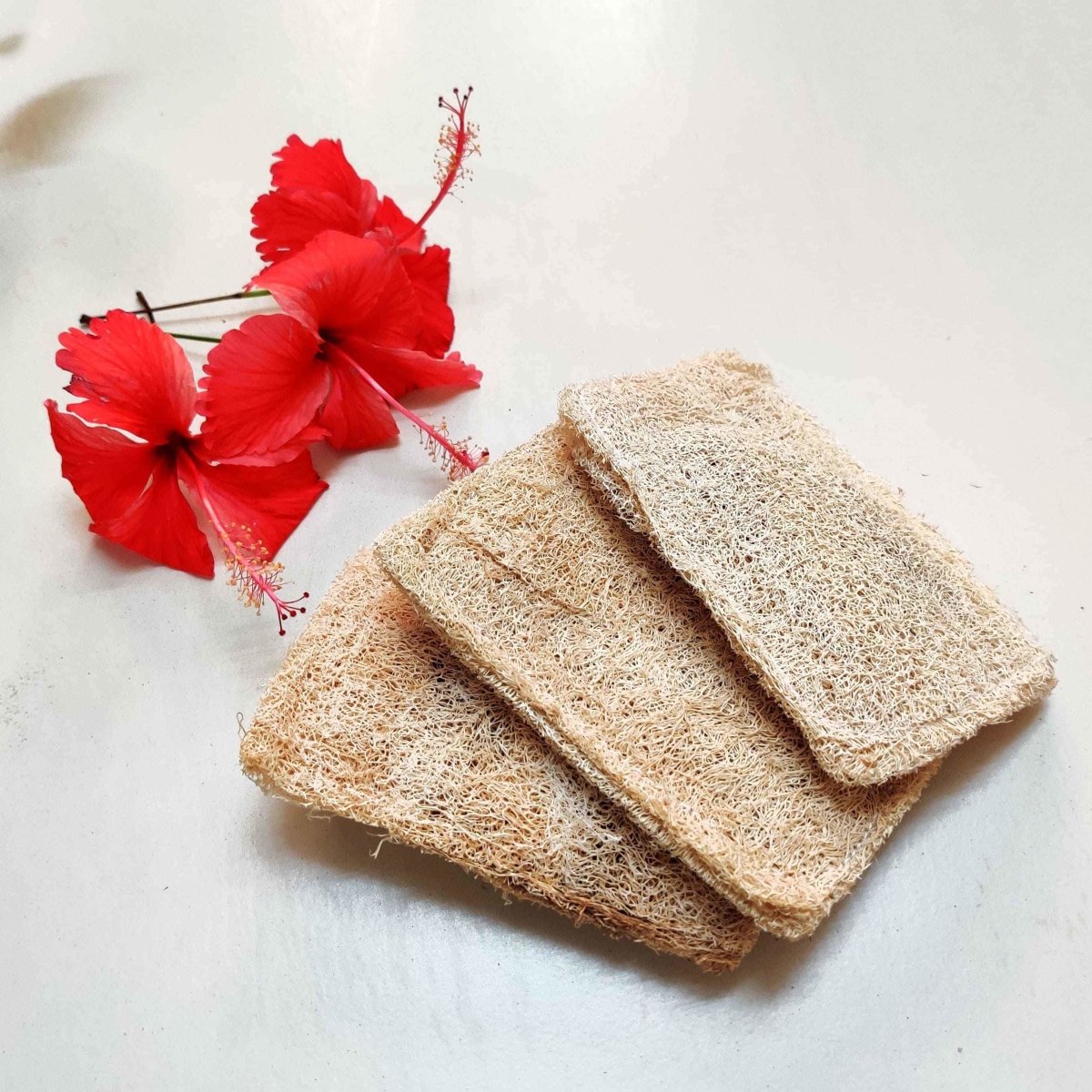 Natural Loofah Dish Scrub (Plant based Utensil Scrub) | Verified Sustainable by Brown Living™