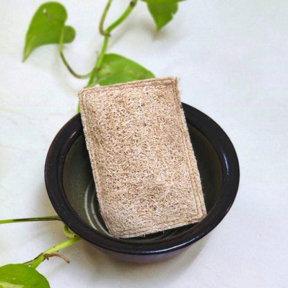 Natural Loofah Dish Scrub (Plant based Utensil Scrub) | Verified Sustainable by Brown Living™