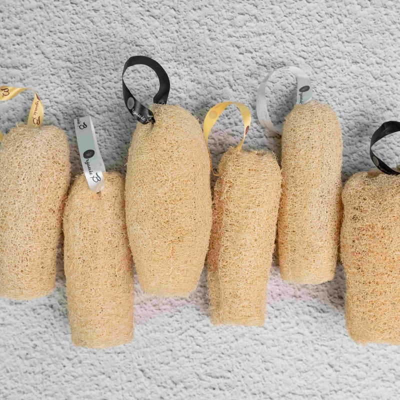 Buy Natural Organic Loofah, Body Scrubber/Sponge Pack of 6 | Shop Verified Sustainable Body Scrub on Brown Living™