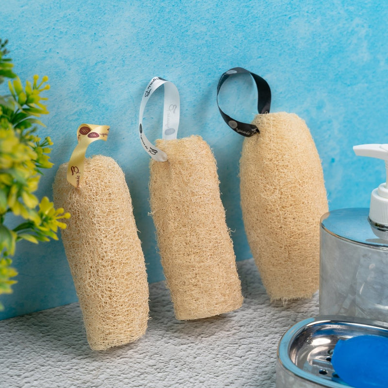 Buy Natural Organic Loofah - Pack of 3 | Shop Verified Sustainable Body Scrub on Brown Living™