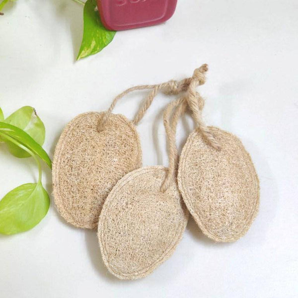 Buy Natural Plant based loofah-Set of 3 Bathing sponge or scrub | Shop Verified Sustainable Products on Brown Living