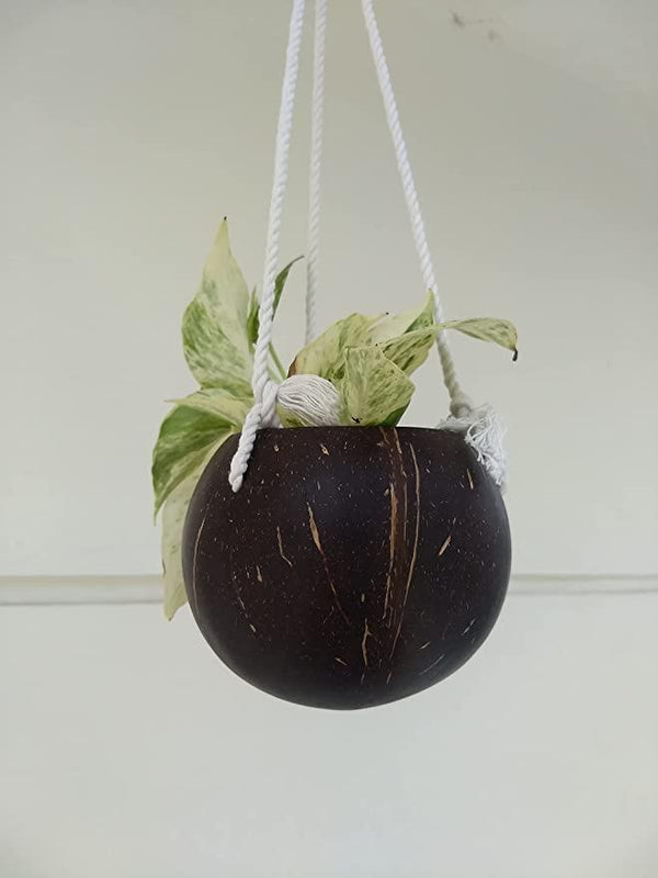 Buy Natural, Ready to use Coconut Shell for gardening with Cotton Macrame | Shop Verified Sustainable Products on Brown Living