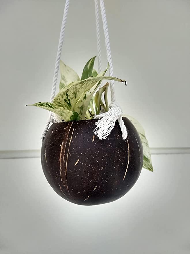 Buy Natural, Ready to use Coconut Shell for gardening with Cotton Macrame | Shop Verified Sustainable Pots & Planters on Brown Living™