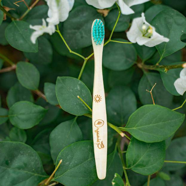 Neem Baby Toothbrush - Pack of 2 | Verified Sustainable by Brown Living™