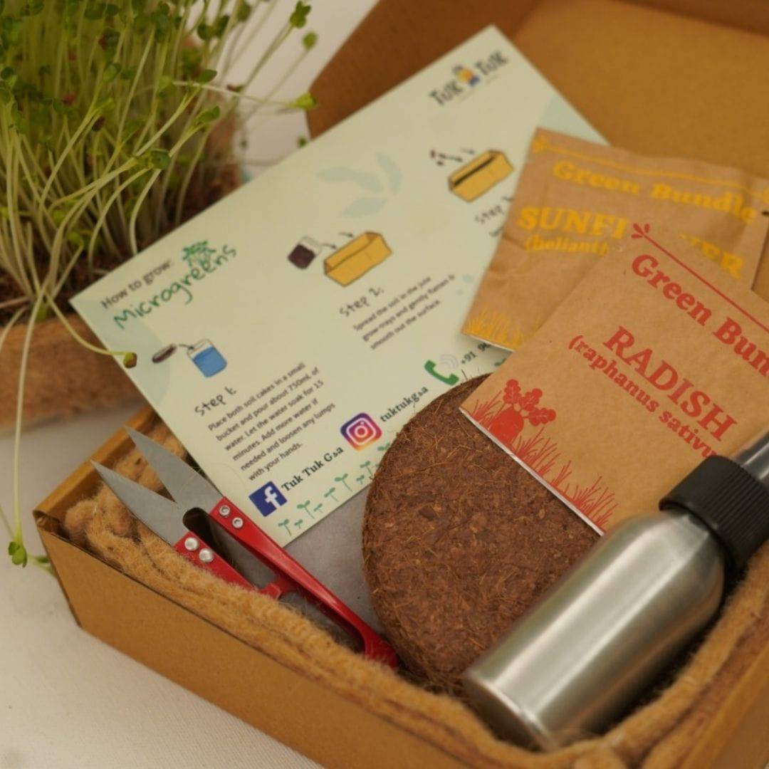 New Year Sustainable Gift Microgreens Kit - Pack of 4 Seeds | Verified Sustainable by Brown Living™