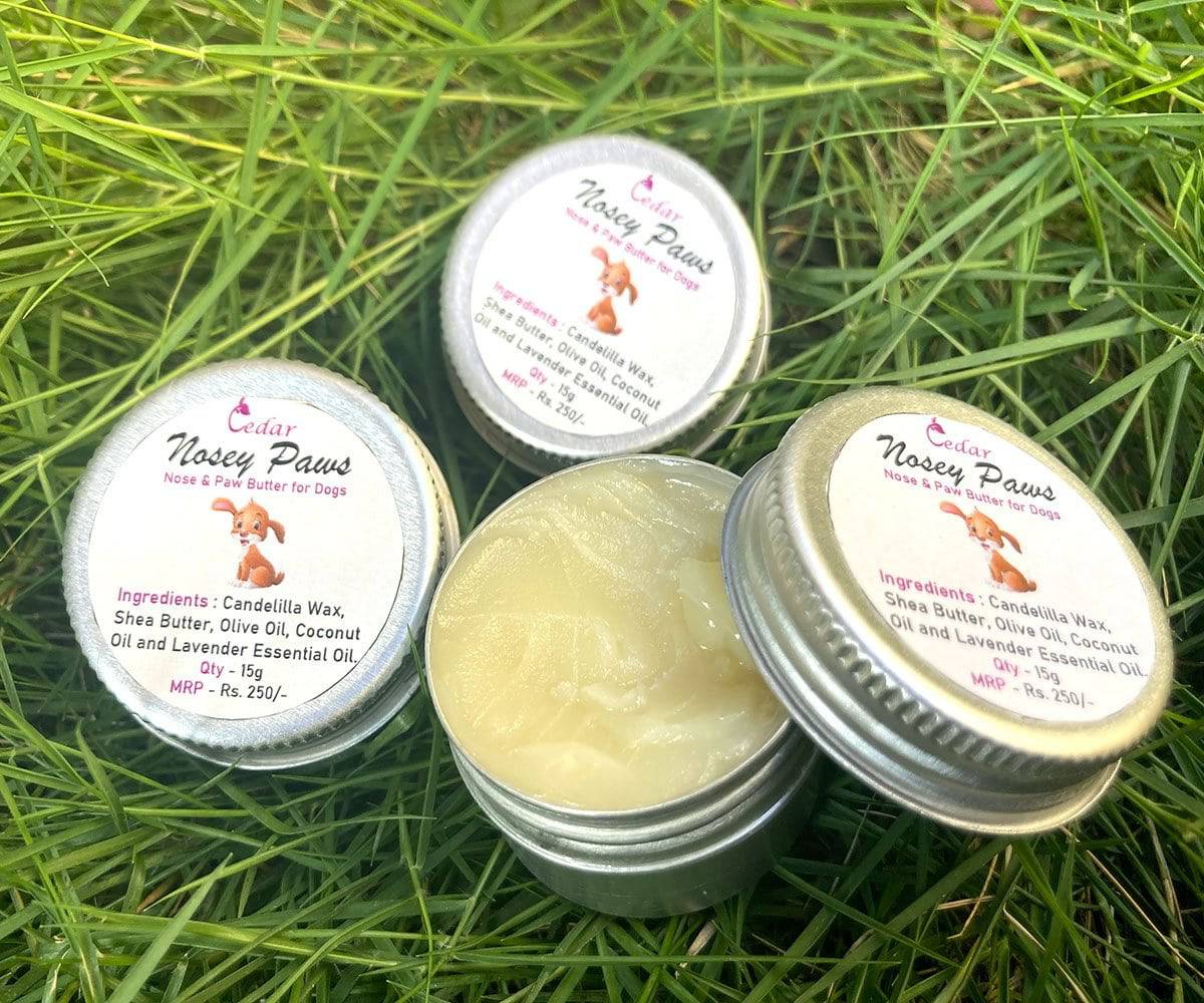 Nosey Paws - Nose and Paw Butter | Verified Sustainable by Brown Living™