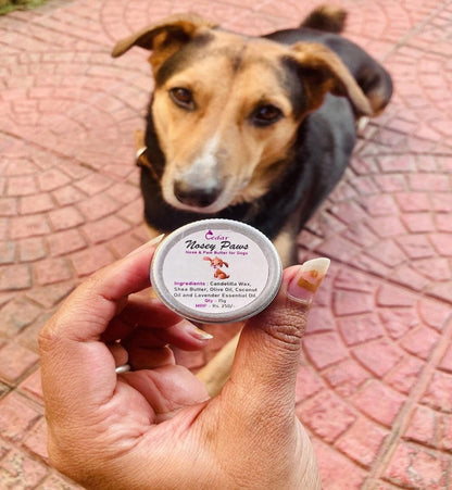 Nosey Paws - Nose and Paw Butter | Verified Sustainable by Brown Living™