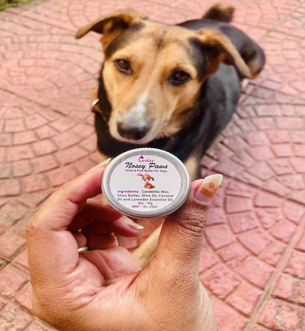 Buy Nosey Paws - Nose and Paw Butter | Shop Verified Sustainable Pet Supplies on Brown Living™