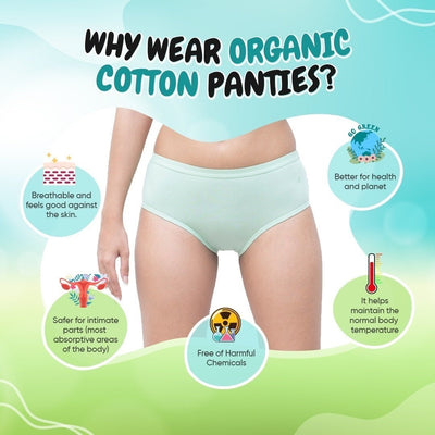 Organic Everyday Hipster Panty - Greenfig (3pc) – Womens Underwear on Brown Living™. SKU: HIPGREENM. Img 6.