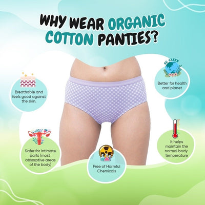 Organic Everyday Hipster Panty - Lavender Checks (3pc) – Womens Underwear on Brown Living™. SKU: HIPCHECKM. Img 6.