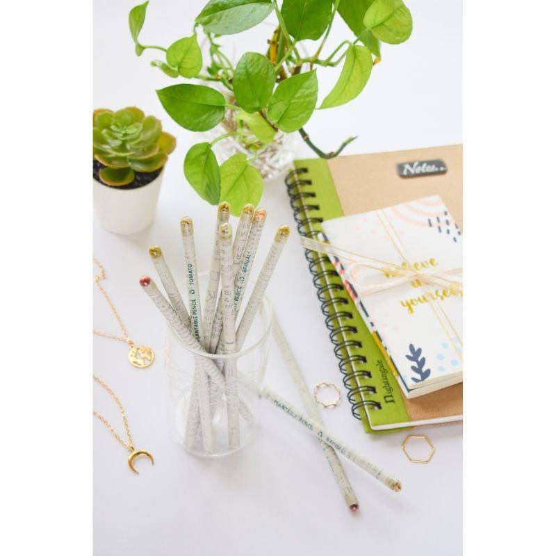 Paper Pencils with Plantable Seeds of Vegetables | Pack of 10 Pencils | Made with Recycled Papers | Verified Sustainable by Brown Living™