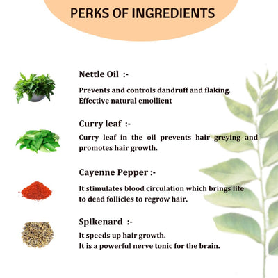 Phyto Hair Oil - Hair Fall Control – Hair Oil on Brown Living™. SKU: HAIE14. Img 3.