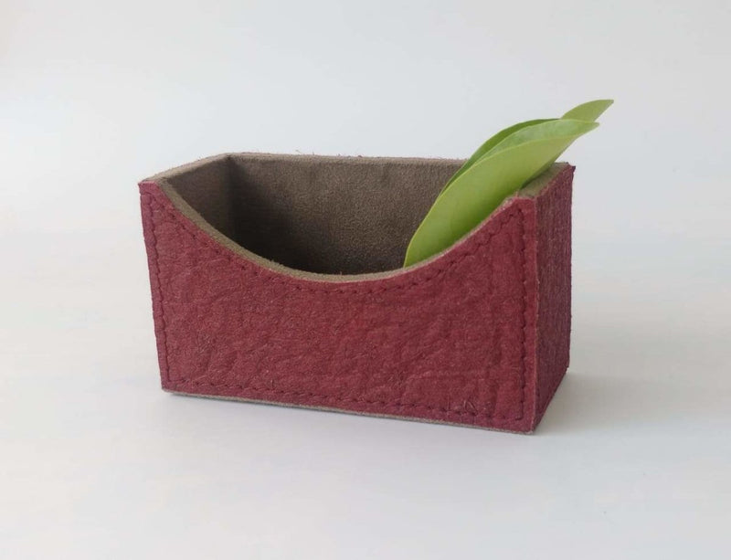 Buy Pinatex Visiting Card Holder | Shop Verified Sustainable Desk Organizers on Brown Living™