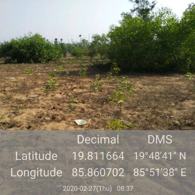 Plant A Tree - Get an eTreeCertificate – Gift a Tree on Brown Living™. SKU: 045 - 01093 - growtrees_etree. Img 9.