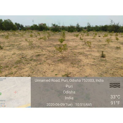 Plant A Tree - Get an eTreeCertificate – Gift a Tree on Brown Living™. SKU: 045 - 01093 - growtrees_etree. Img 10.