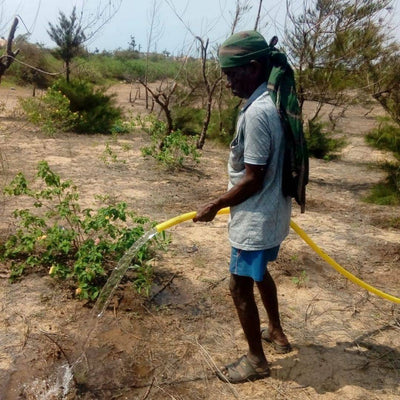 Plant A Tree - Get an eTreeCertificate – Gift a Tree on Brown Living™. SKU: 045 - 01093 - growtrees_etree. Img 7.