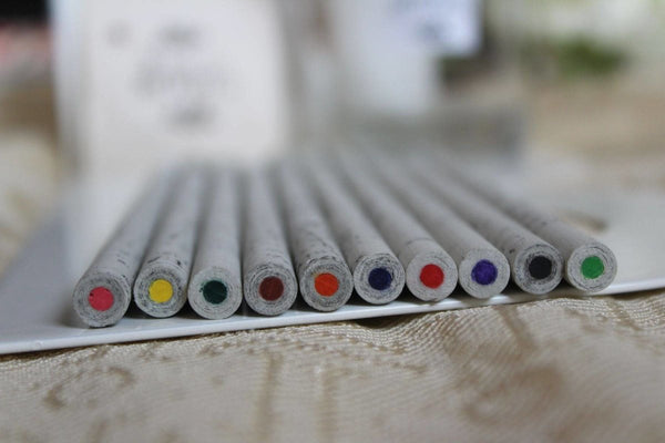 Buy Plantable Colour Seed Pencil | Gift | Pack of 10 Colours | Shop Verified Sustainable Pencils on Brown Living™