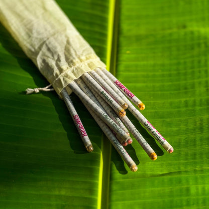 Plantable Pencil Pack | Set of 10 | 4 plantable seeds | Upcycled | Scrapshala | Verified Sustainable by Brown Living™