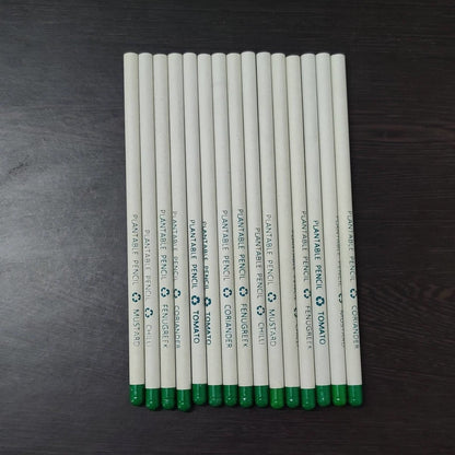 Plantable Recycled Paper Pencil - Pack of 10 | Verified Sustainable by Brown Living™