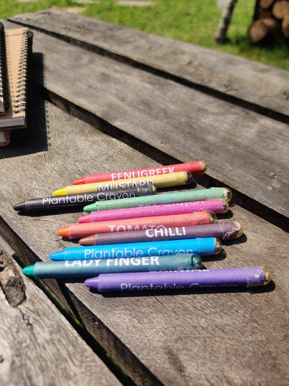 Plantable Seed Crayons | Non - Toxic Colours | Verified Sustainable by Brown Living™