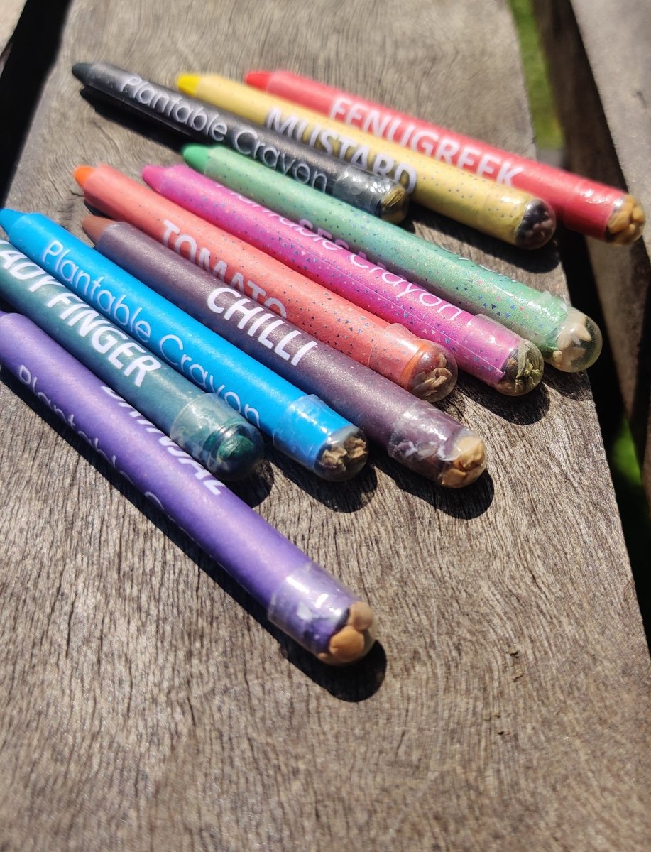 Plantable Seed Crayons | Non - Toxic Colours | Verified Sustainable by Brown Living™