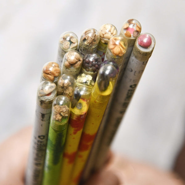Buy Plantable Seed Paper Pencil - Pack of 10 | Shop Verified Sustainable Pencils on Brown Living™