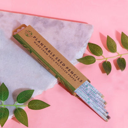 Plantable Seed Pencils made of Recycled Newspaper - Pack of 6 Pencils | Verified Sustainable by Brown Living™