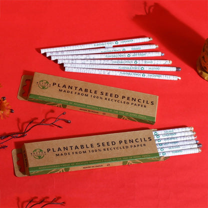 Plantable Seed Pencils made of Recycled Newspaper - Pack of 6 Pencils | Verified Sustainable by Brown Living™