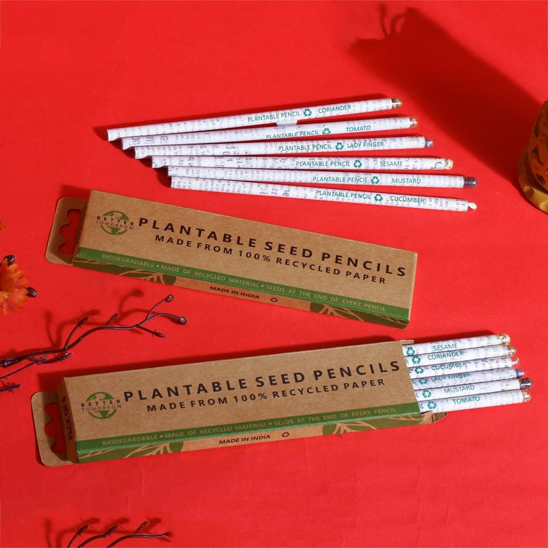 Buy Plantable Seed Pencils made of Recycled Newspaper - Pack of 6 Pencils | Shop Verified Sustainable Pencils on Brown Living™