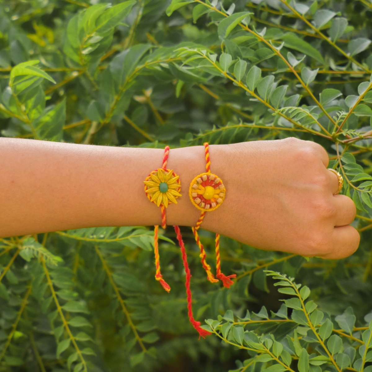 Plantable Seed Rakhi Family Box | Pair of 2 Rakhi | Verified Sustainable by Brown Living™