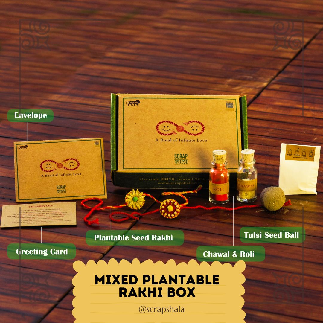 Plantable Seed Rakhi Family Box | Pair of 2 Rakhi | Verified Sustainable by Brown Living™