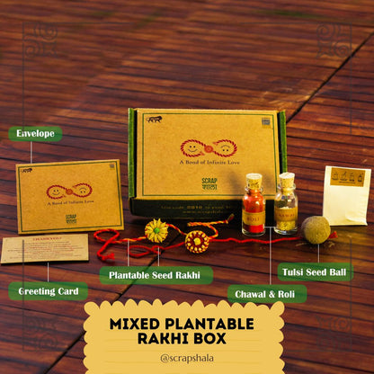 Plantable Seed Rakhi Family Box | Pair of 2 Rakhi | Verified Sustainable by Brown Living™