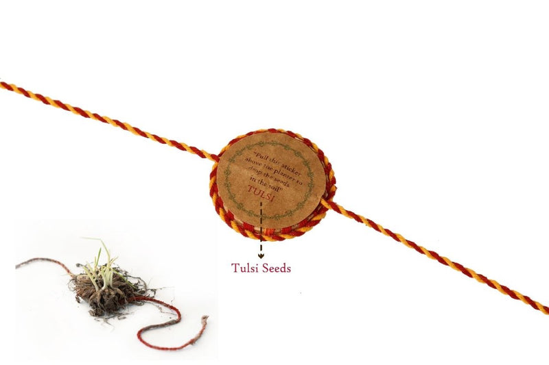 Buy Plantable Seed Rakhi Family Box | Pair of 2 Rakhi | Shop Verified Sustainable Products on Brown Living
